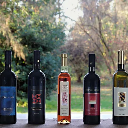 Gallegati * فينْتْسا